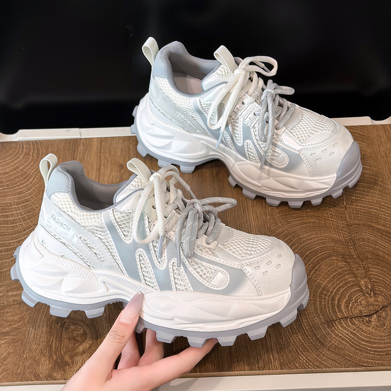 メッシュチャンキースニーカー女性通気性プラットフォームシュー - Women Shoes Tennis のレビューと価格